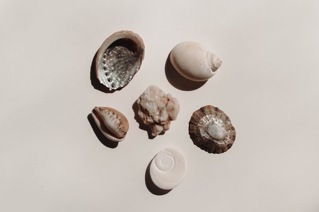 导管是什么意思梗
